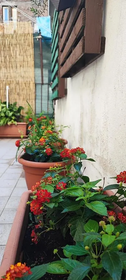 Apartament Downtown Vicino Al Duomo Katania